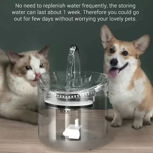 Dispensador Bebedero Agua Automatico Gatos Perros